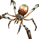 White Spider